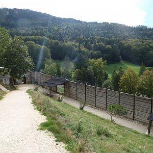 Sikypark Crémines - Towards the lion house