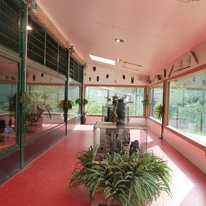 Sikypark Crémines - Inside the lion house