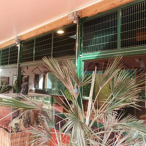 Sikypark Crémines - Inside the lion house