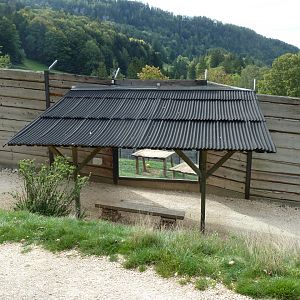 Sikypark Crémines - Lion viewing point