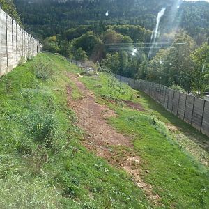 Sikypark Crémines - Lion enclosure