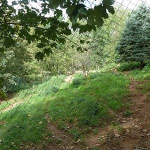 Sikypark Crémines - Eurasian wolf enclosure