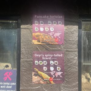 New Species Signage