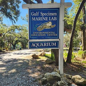 Gulf Specimen Aquarium - Entrance sign