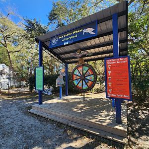 Gulf Specimen Aquarium - The Survival Wheel