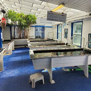 Gulf Specimen Aquarium -Touch tanks
