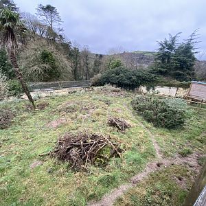 Meerkat enclosure 170224