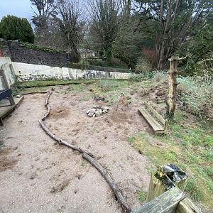 Meerkat enclosure 170224