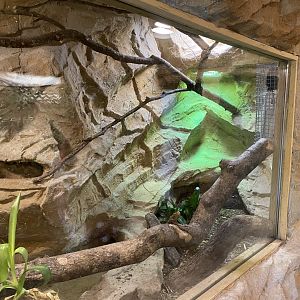 Tropical House - Boa constrictor exhibit 170224
