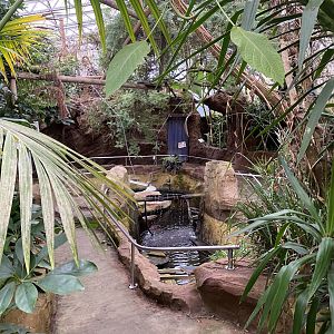 Tropical House 170224