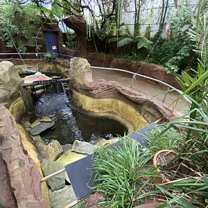 Tropical House 170224