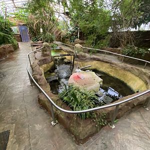 Tropical House 170224