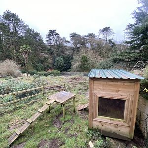 Meerkat enclosure 170224