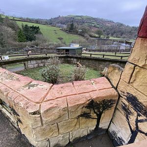 African spurred tortoise enclosure 170224