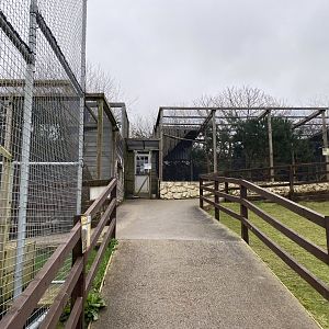 Aviaries 170224