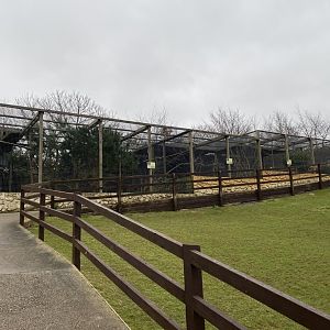 Aviaries 170224