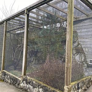 European genet enclosure 170224