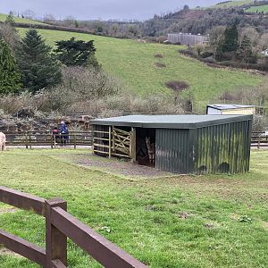 Alpaca enclosure 170224