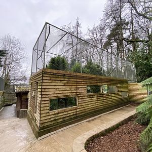 Bolivian squirrel monkey enclosure 170224