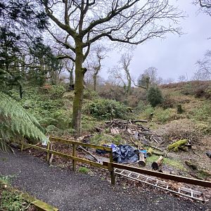 Area for new Amur leopard enclosure 170224