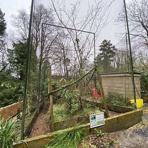 White-faced saki enclosure 170224