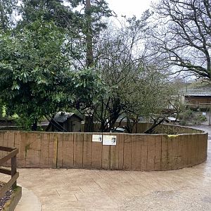 Northern raccoon enclosure 170224