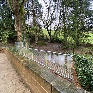 Capybara enclosure 170224