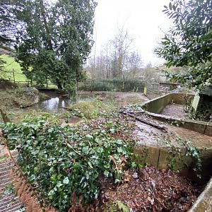 Capybara enclosure 170224