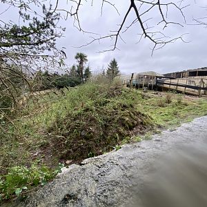Meerkat enclosure 170224