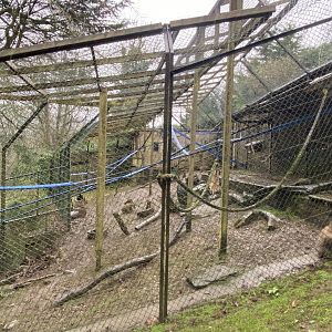 Barbary macaque enclosure 170224