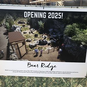 Bear Ridge Rendering