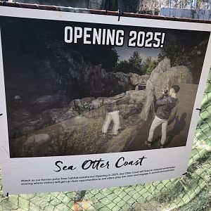 Sea Otter Coast Rendering