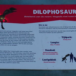 Dinosaur Weeks - Example of signage, 2023-04-30