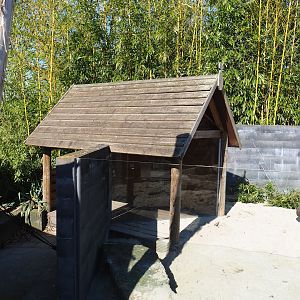 Meerkat viewing area for kids, 2023-04-30