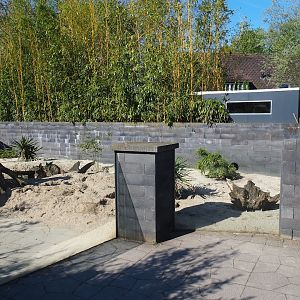 Meerkat exhibit, 2023-04-30