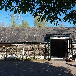 Gift shop, 2023-04-30