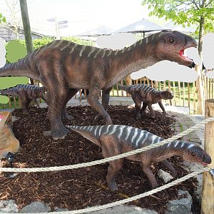Dinosaur Weeks - Maiasaura peeblesorum statues, 2023-04-30