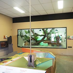 Terrarium room with reptiles, invertebrates and conservation education displays, 2023-04-30