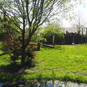 New South African cheetah exhibit (Former Asiatic black bear and Corsac fox exhibit), 2023-04-30