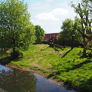 New South African cheetah exhibit (Former Asiatic black bear and Corsac fox exhibit), 2023-04-30