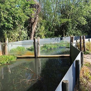 Asian small-clawed otter exhibit, end of pond with part of adventure route going through the exhibit, 2023-04-30