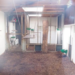 Indoor housing for ring-tailed lemurs and red ruffed lemurs, 2023-04-30