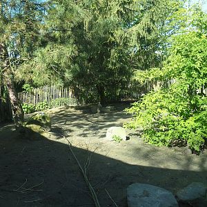 Parma wallaby exhibit, 2023-04-30