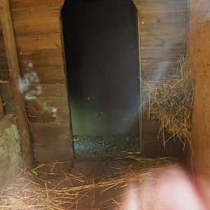 Parma wallaby shelter, 2023-04-30