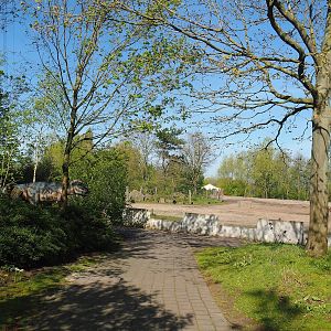 Road to Asian elephant, Chital, Red deer and Crab-eating macaque exhibit viewing areas, 2023-04-30