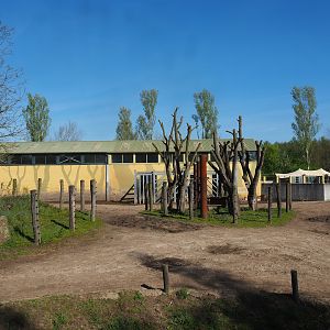 Asian elephant, Chital, Red deer and Crab-eating macaque exhibit, 2023-04-30