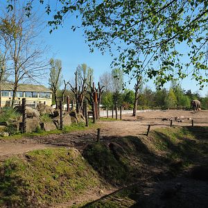 Asian elephant, Chital, Red deer and Crab-eating macaque exhibit, 2023-04-30