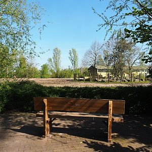Bench with view of Asian elephant, Chital, Red deer and Crab-eating macaque exhibit, 2023-04-30