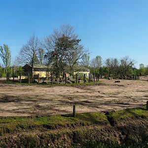 Asian elephant, Chital, Red deer and Crab-eating macaque exhibit, 2023-04-30