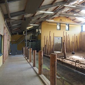 Asian elephant indoor exhibit and elephant house visitor area, 2023-04-30
